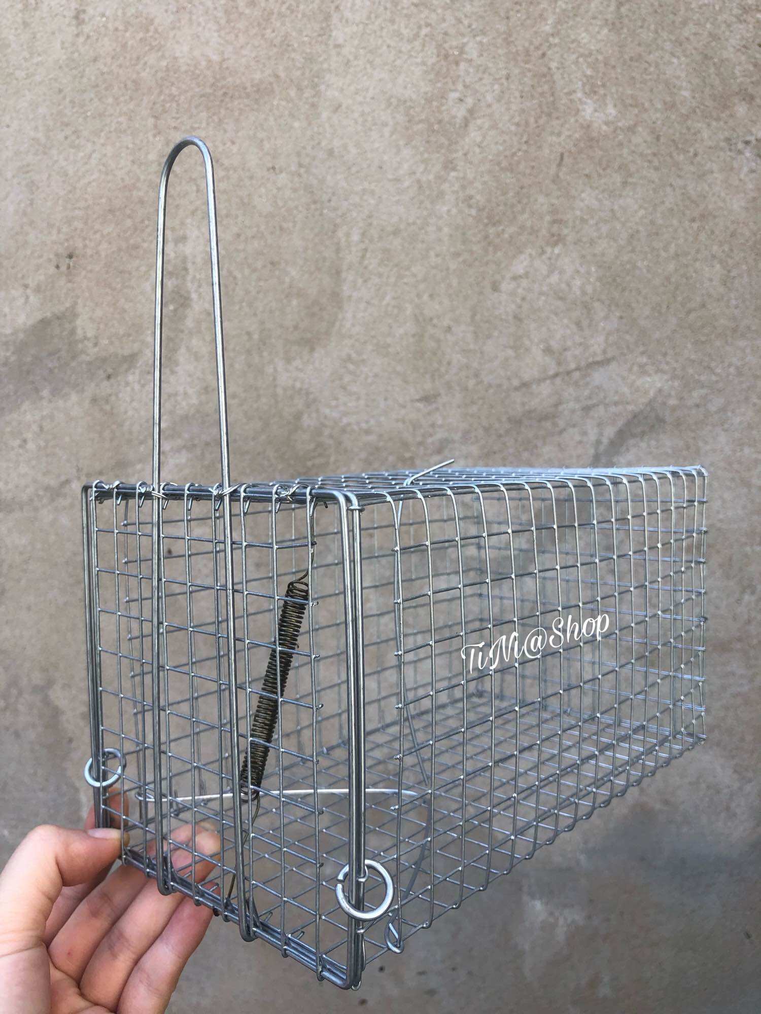 Combo 5 Bẫy Chuột Cống Nhum 12x12x22cm