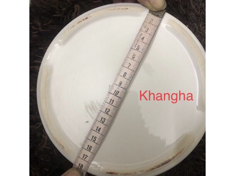 ❄️Ruột sứ nồi nấu cháo chậm 2,5 lít Đạt Tường