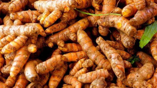 500g nghệ vàng rừng tươi loại 1