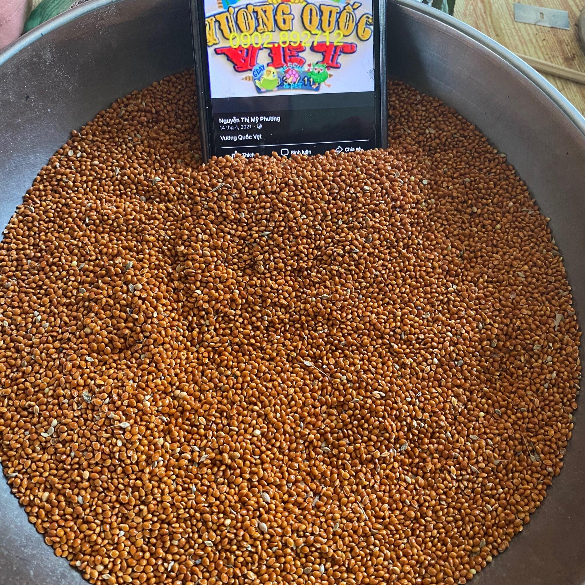 Hạt kê bóng đỏ to gói 1kg
