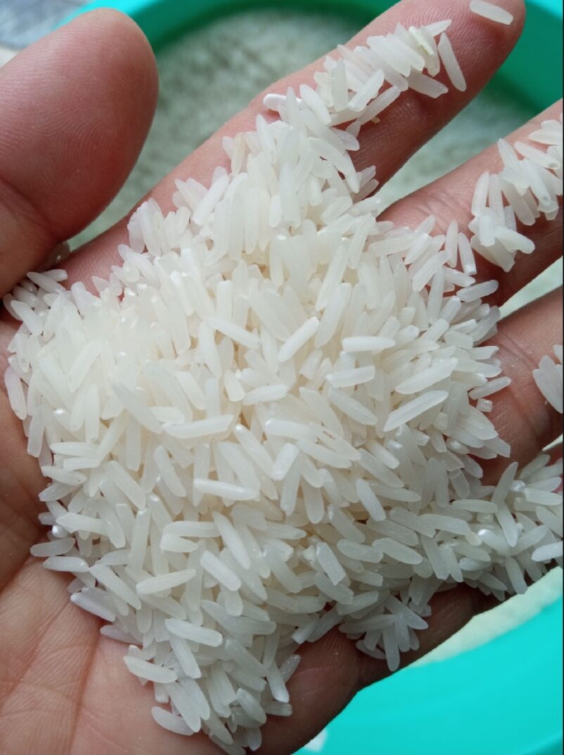 Gạo đạt giải ngon nhất thể giới năm 2019 gạo chính hãng lúa tôm bao ngon st25 túi 5kg free ship đt 0982982045