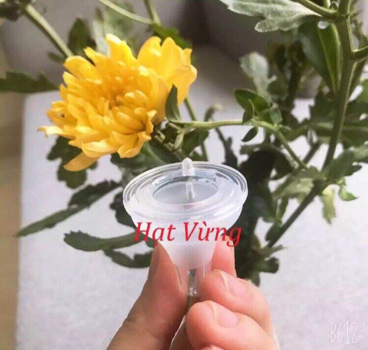 combo 10 núm ti thay thế bình cổ hẹp/cổ rộng