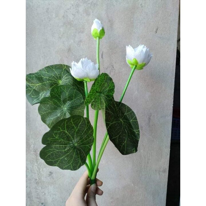Cụm hoa sen dài 60cm cao cấp_hoa giả, hoa lụa