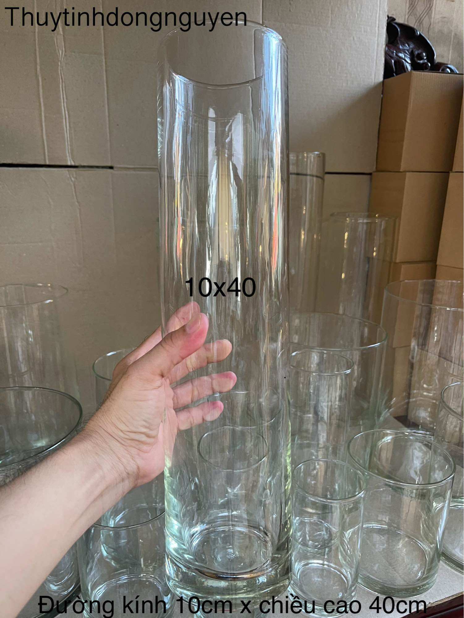Bình cắm hoa thuỷ tinh trụ tròn 10x40cm, bể cá mini, thuỷ sinh, terrarium