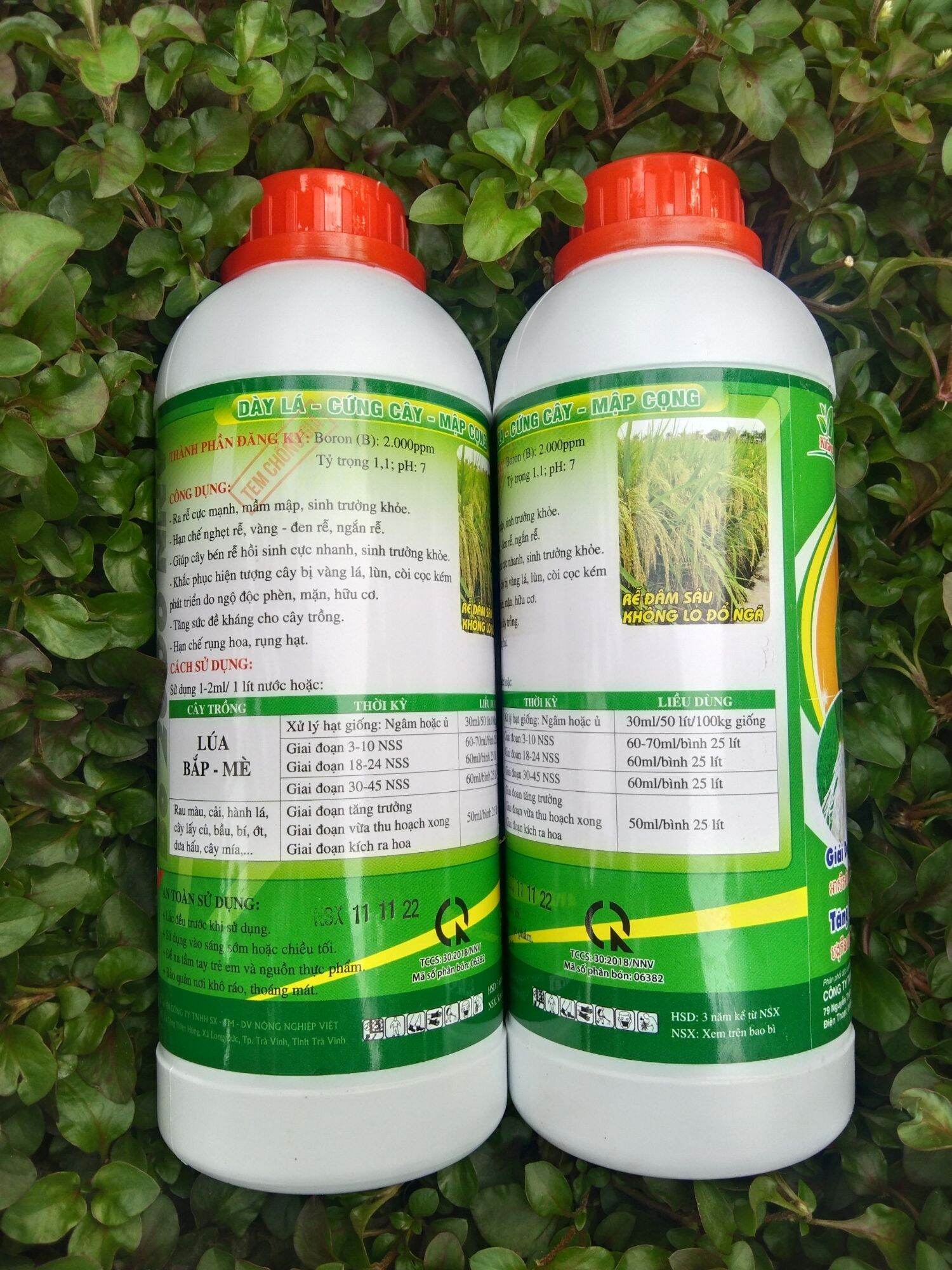 MAX ROOT - RA RỄ ĐẺ NHÁNH - CHAI 1L