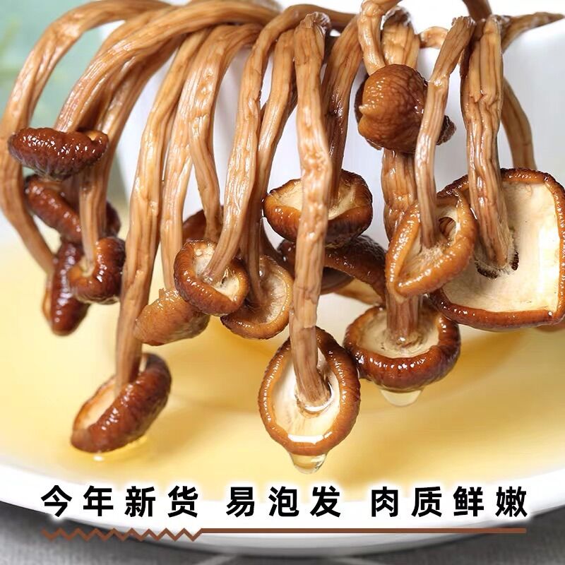 Nấm trà thụ 250g 茶树菇250g