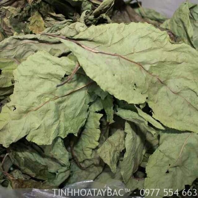 500g lá đắng khô