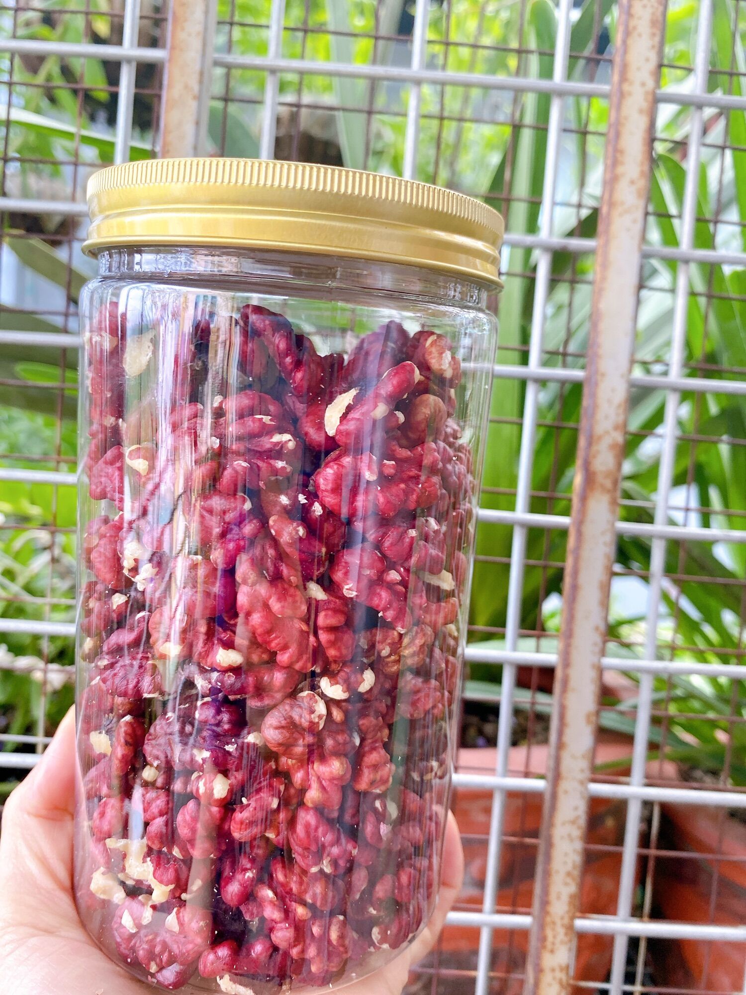 Óc chó đỏ mỹ 500gr hạt chưa rang