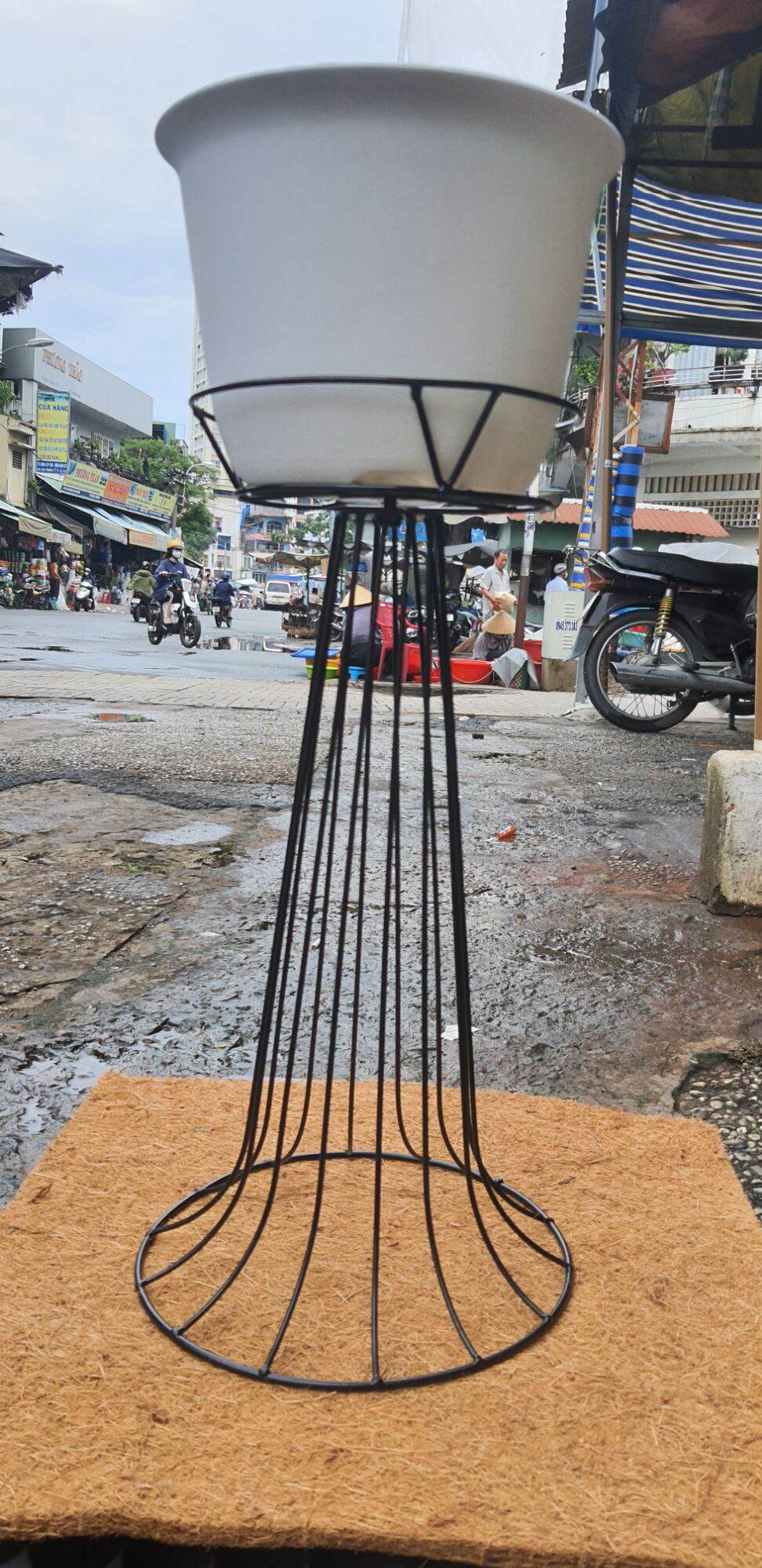 Đôn sắt kê chậu cây trang trí cao 50cm
