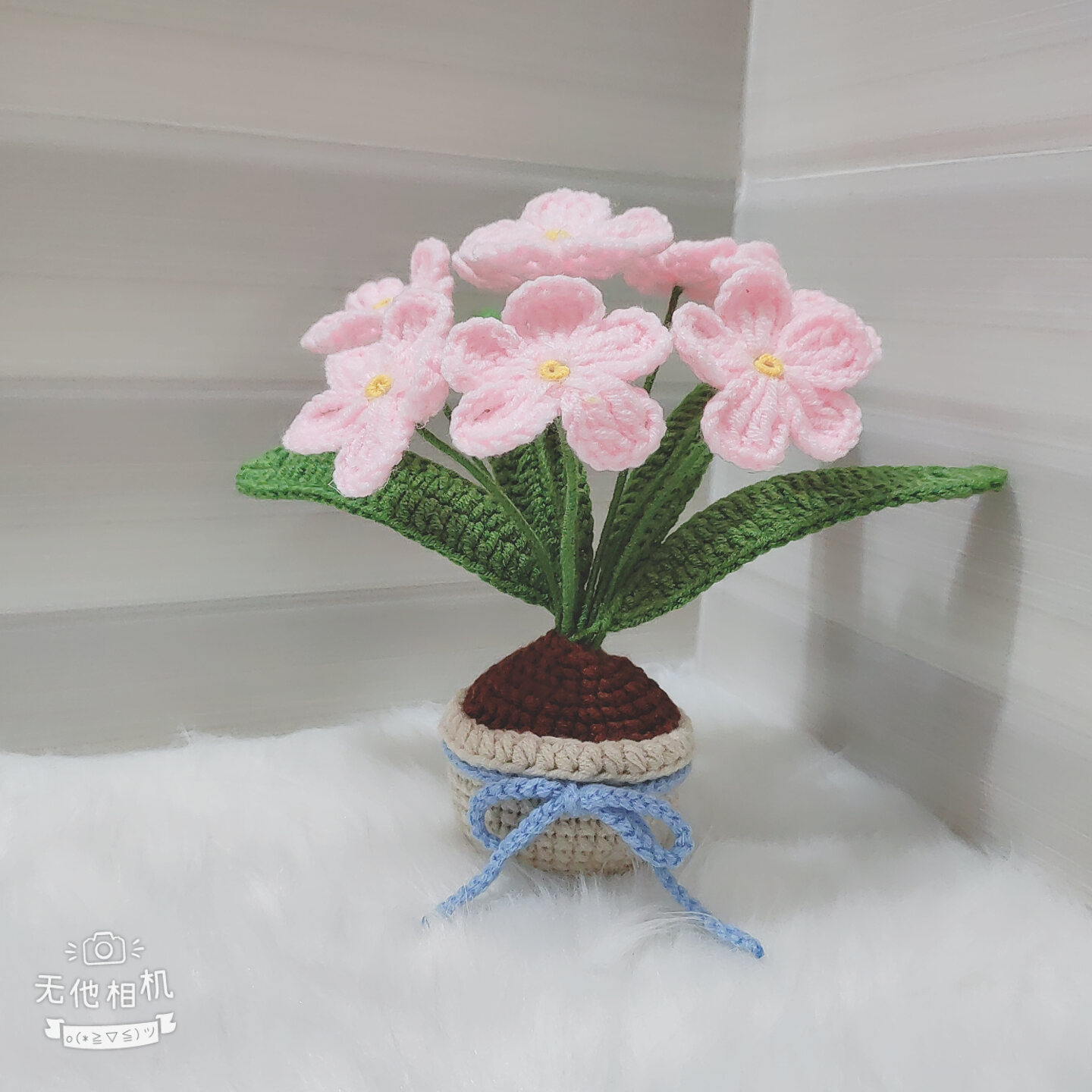 [Ảnh thật - Có sẵn] Chậu hoa lưu ly để bàn bằng len handmade