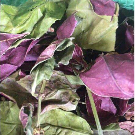 500gr lá đơn đỏ khô thơm sạch HB156
