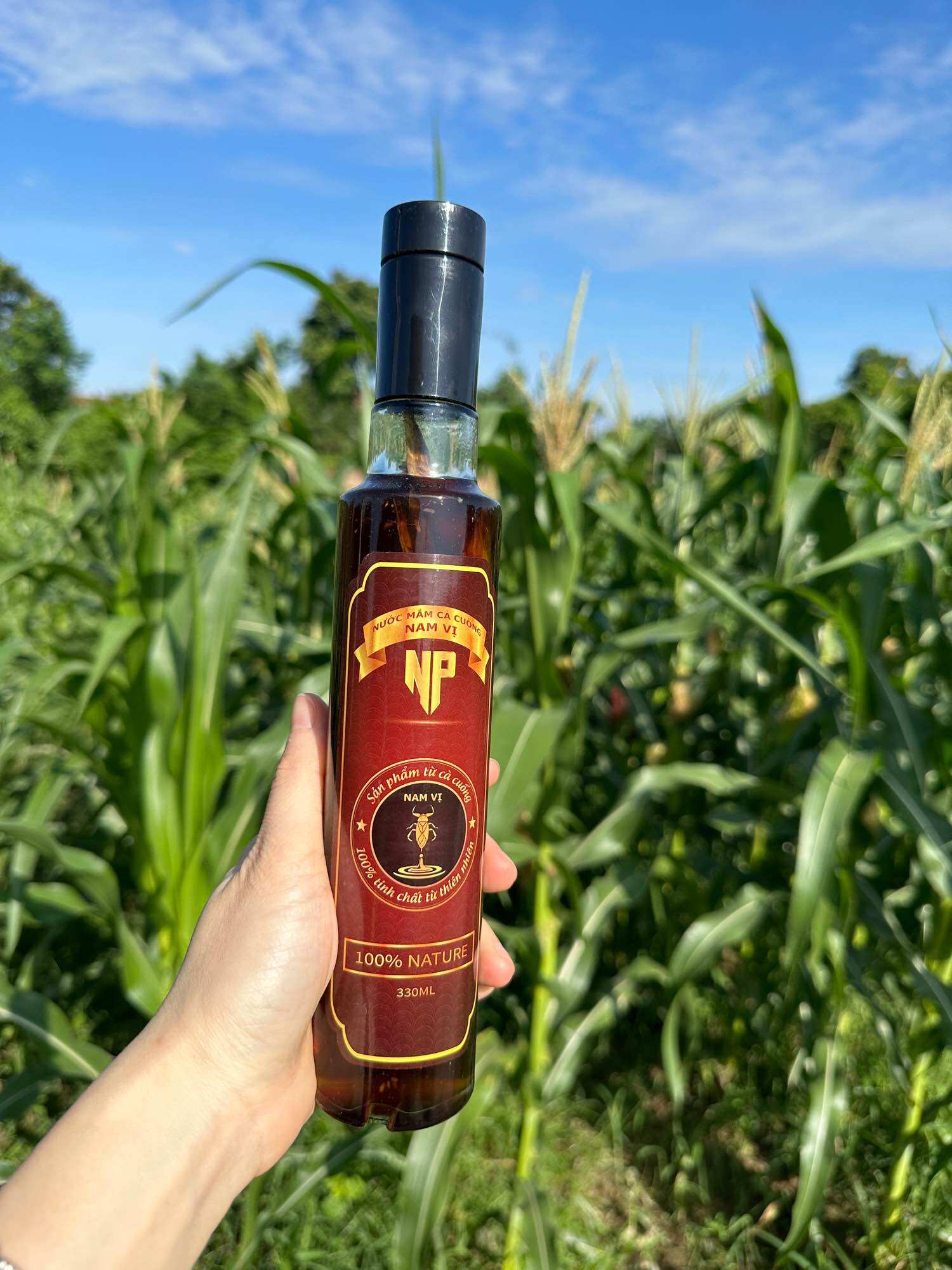 Nước mắm 330ml và 4 con cà cuống đực