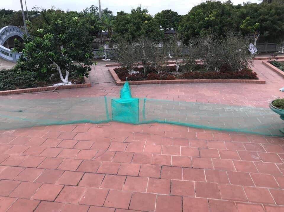 Dớn chặn sông Đăng chặn sông, xăm bắt cá kích thước 30cm x 50cm