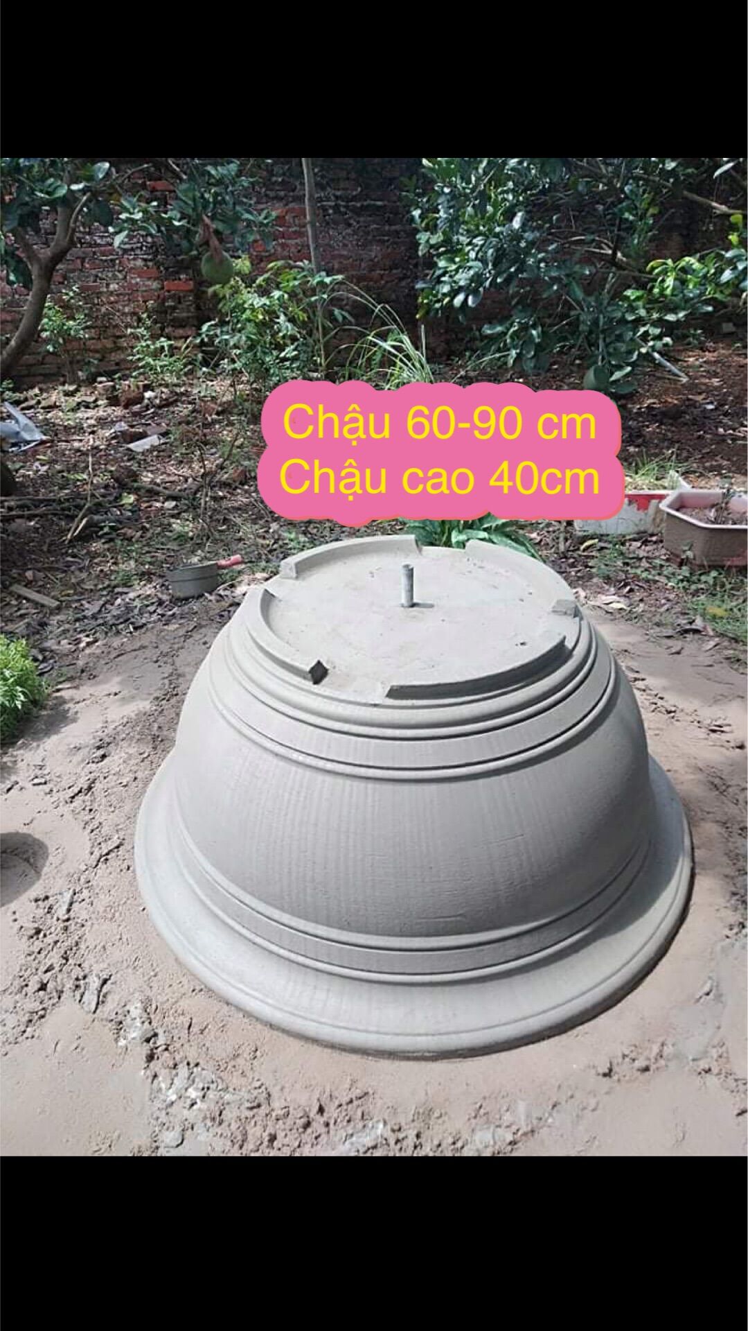 Khuôn chậu cảnh ( mai vàng dán hoa văn chậu cao 40cm ,đường kính tăng to nhỏ 50cm đến 80-90 cm