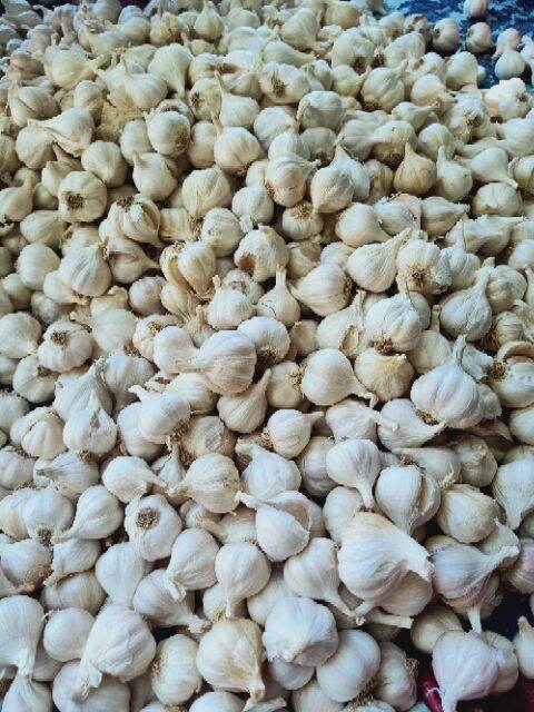 1KG Tỏi khô Phan Rang