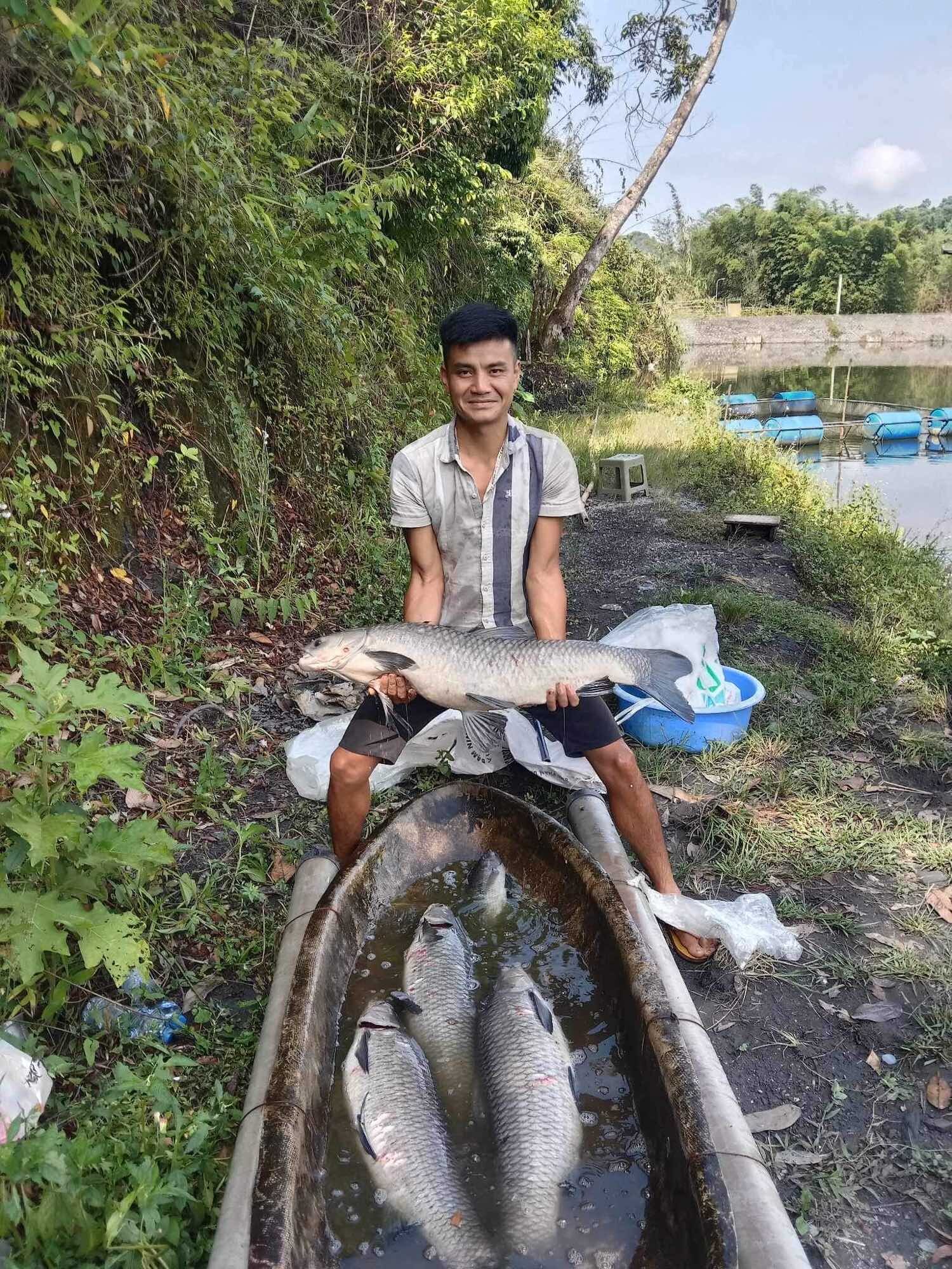 Mồi câu cá trắm đen và chép đặc biệt