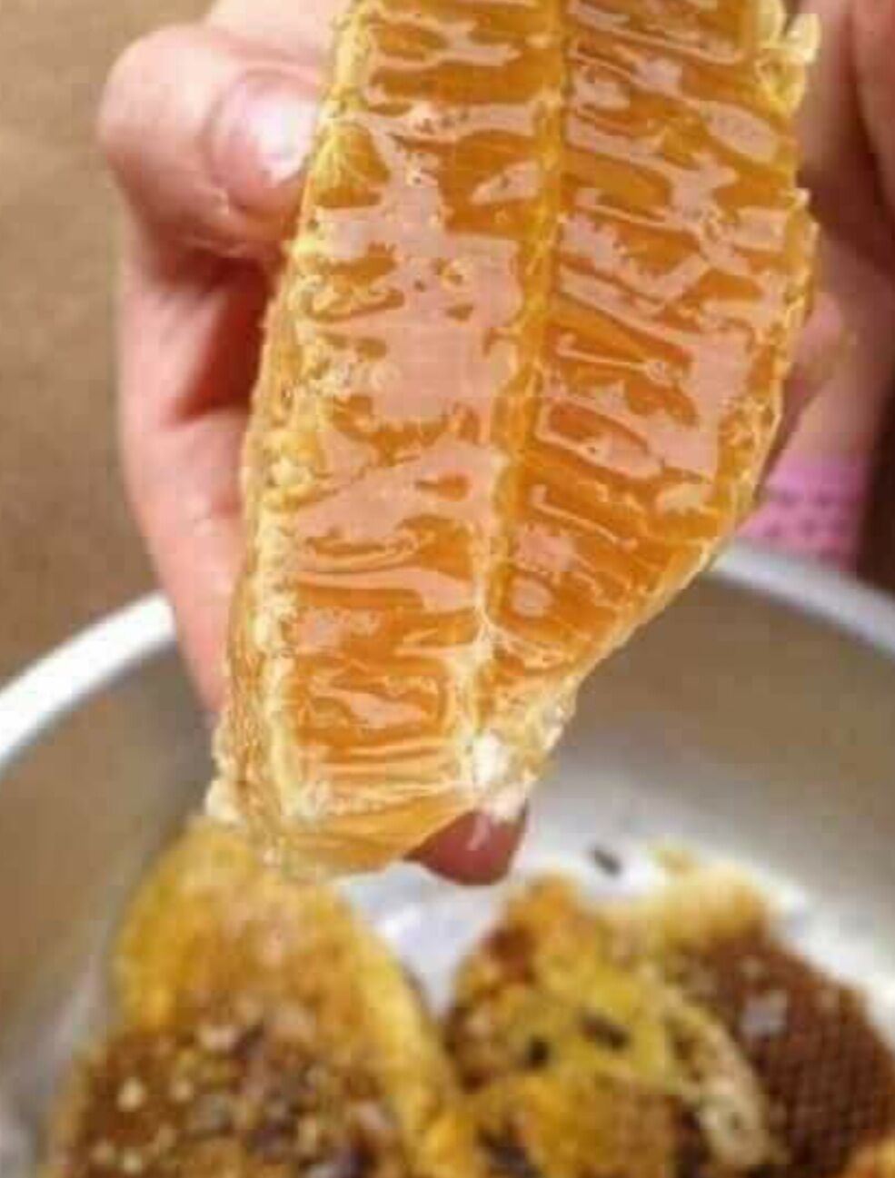 🐝Mật ong hoa cafe tây nguyên🐝 nguyên chất 100% 🐝1 lít 🐝