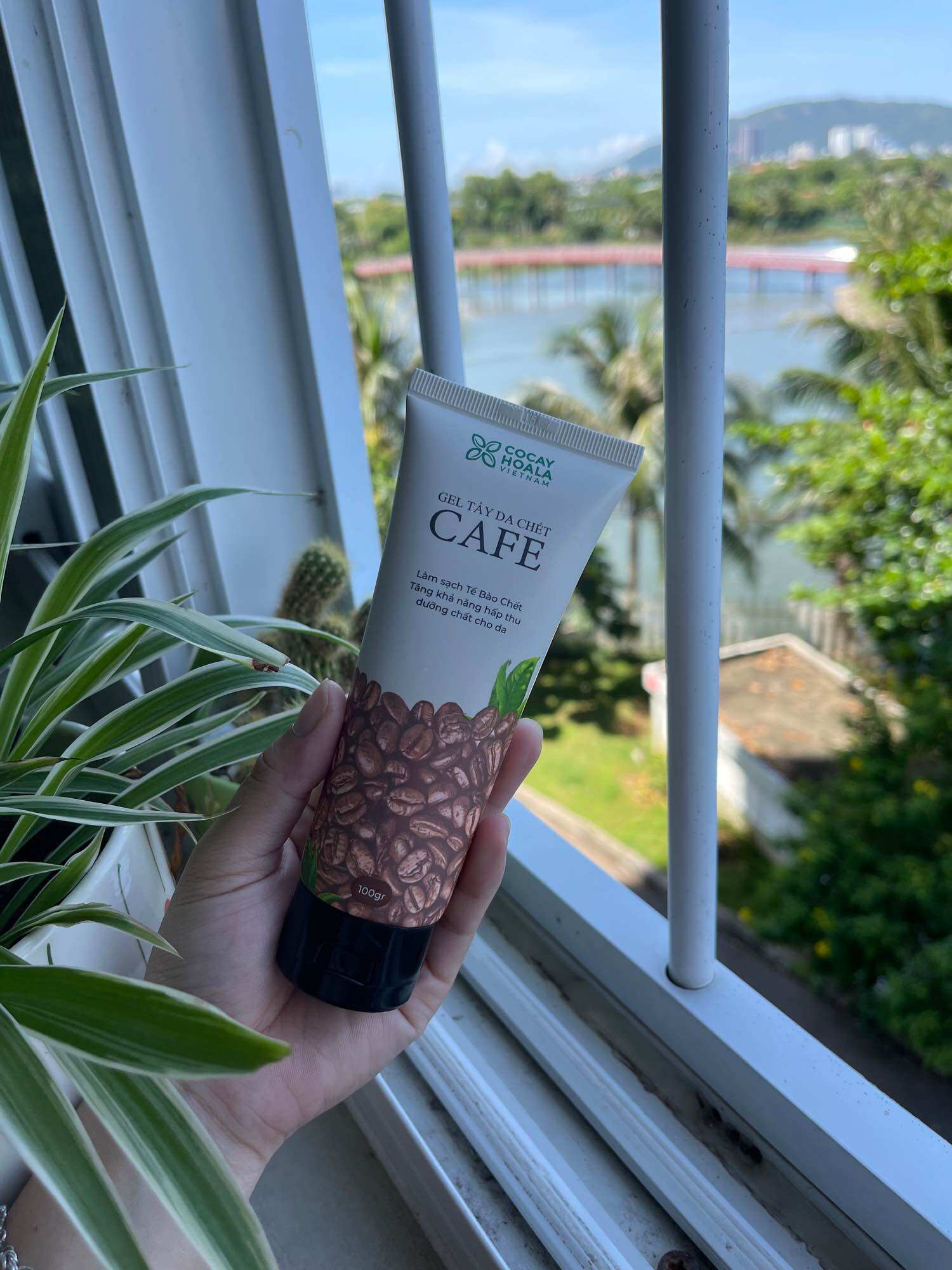 Tẩy tế bào chết Cafe