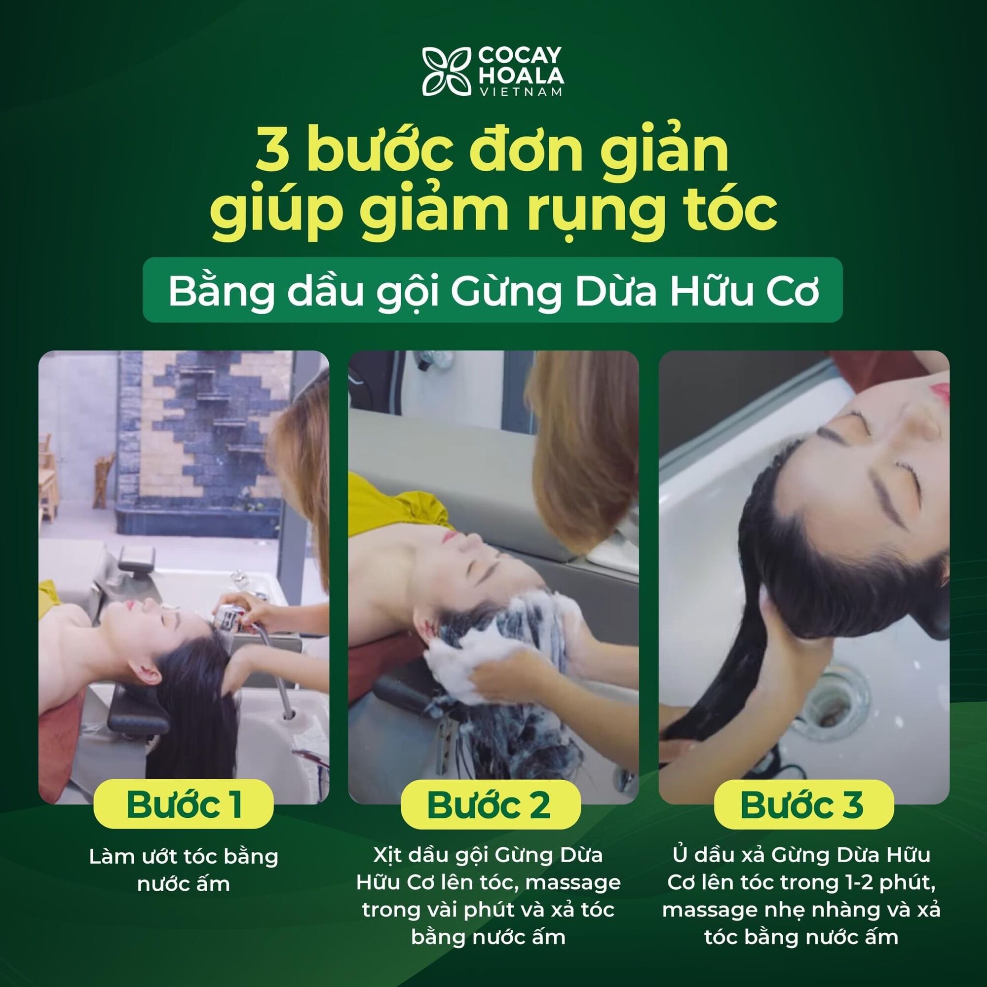 Combo Dầu Gội + Xả Thảo Dược Gừng Dừa