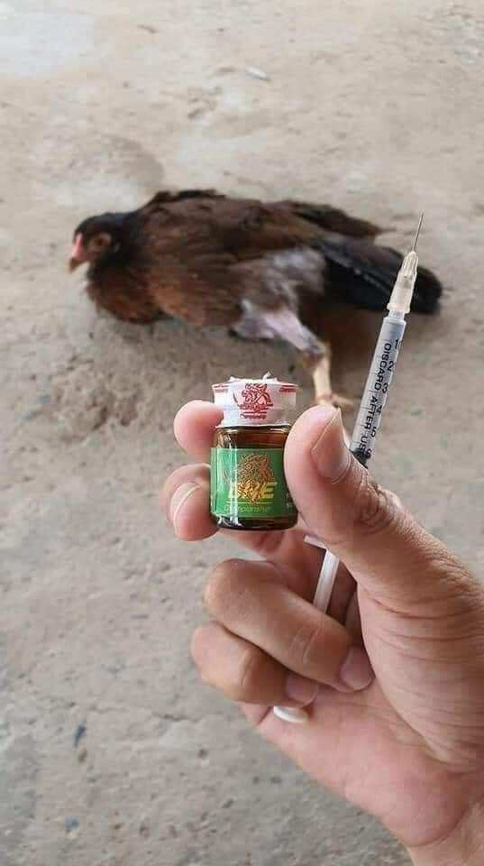 Bại Liệt Té Gió One Xanh