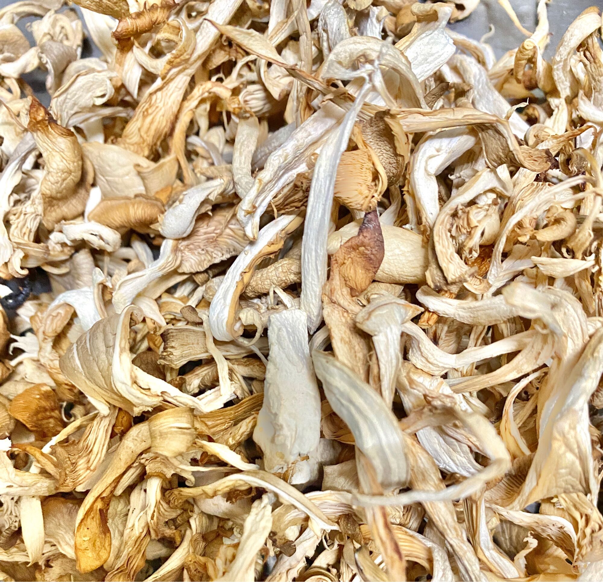 1kg nấm bào ngư xám khô hsd 6 tháng.