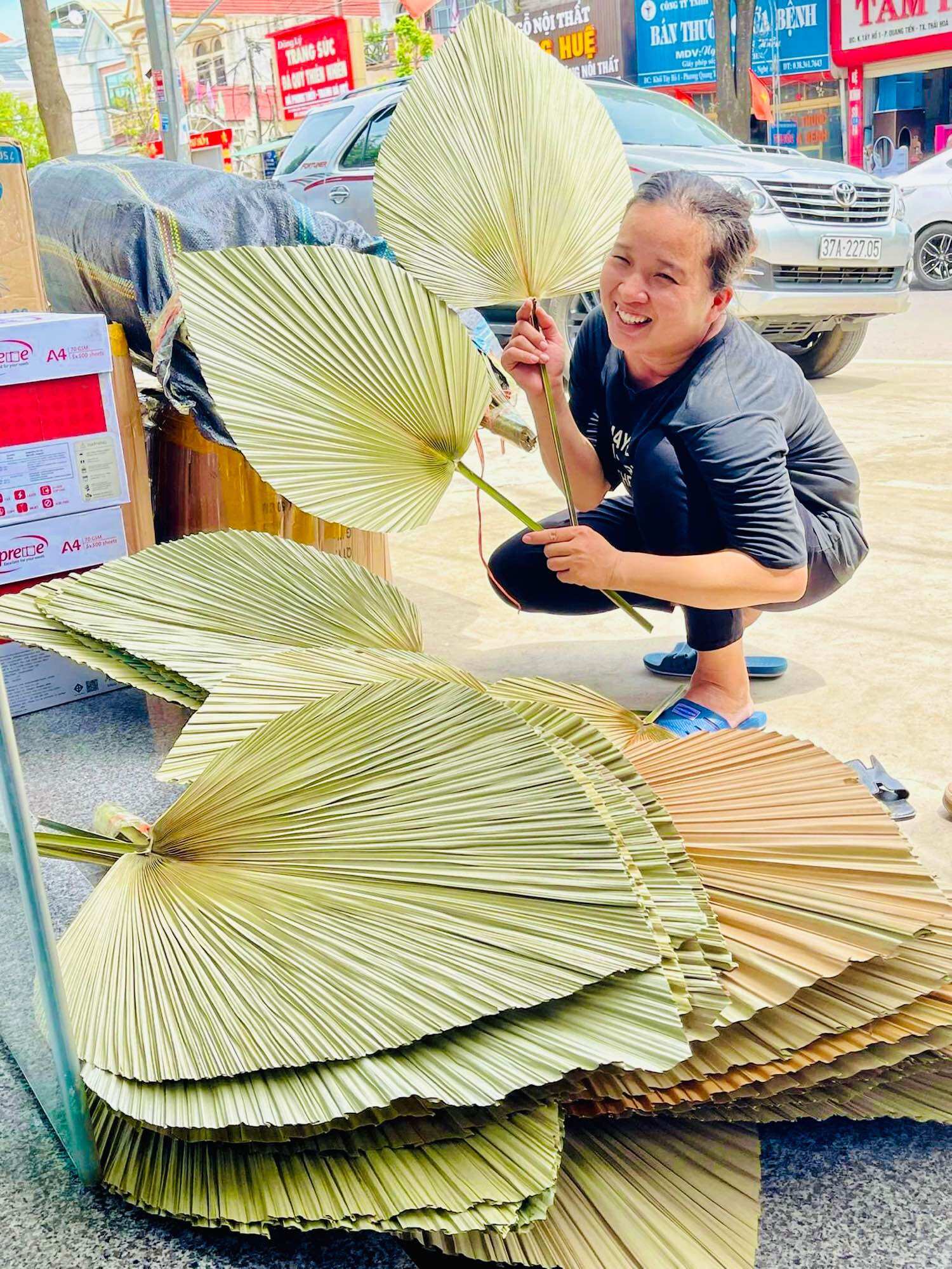 Lá cọ khô, Lá cọ khô tự nhiên trang trí, decor nhà cửa, tiệc cưới, chụp hình