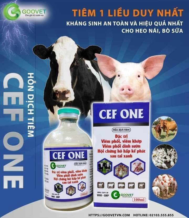 CEF ONE- 1 liều duy nhat, an toàn vật nuôi mang thai 100ml