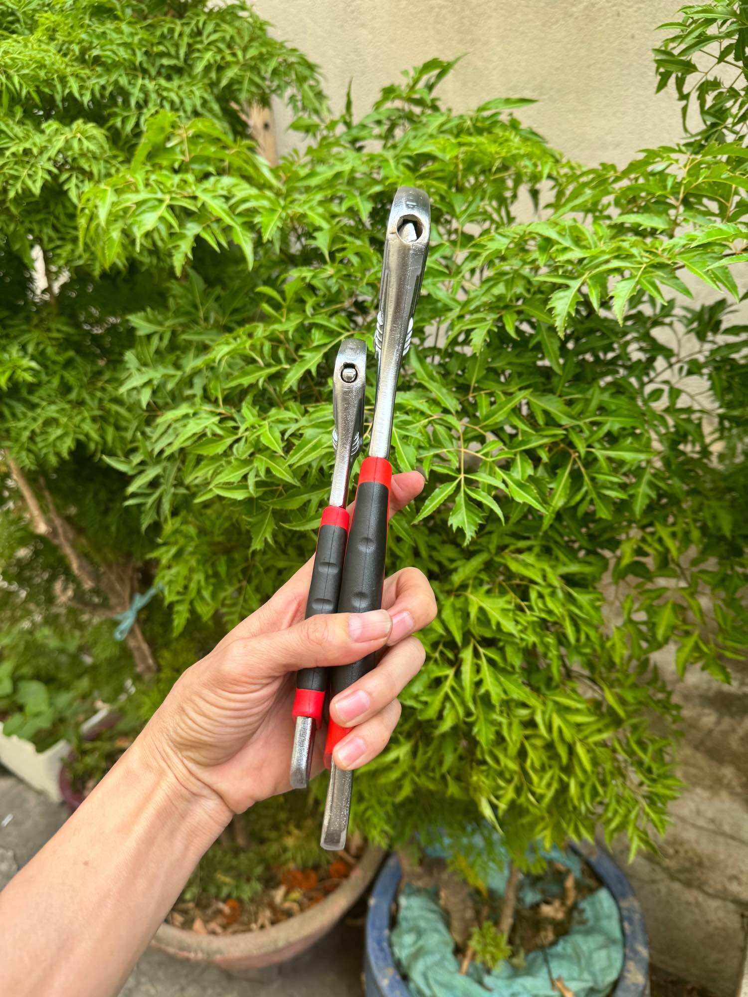 Combo 2 mỏ lết tay bọc 8in và 12in