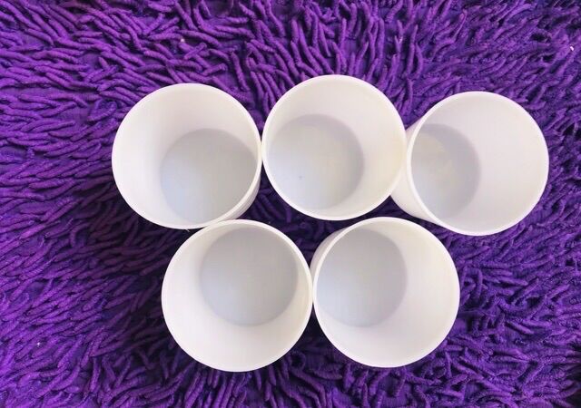 🏵️Combo 10 Chung_Ly làm đá Tủ lạnh (Loại Dày, 3 size)