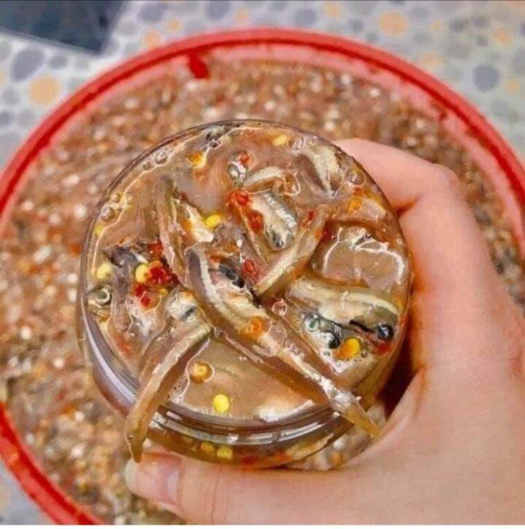 1KG MẮM CÁ CƠM NGUYÊN CON 2 HŨ (ĐẶC SẢN HUẾ )