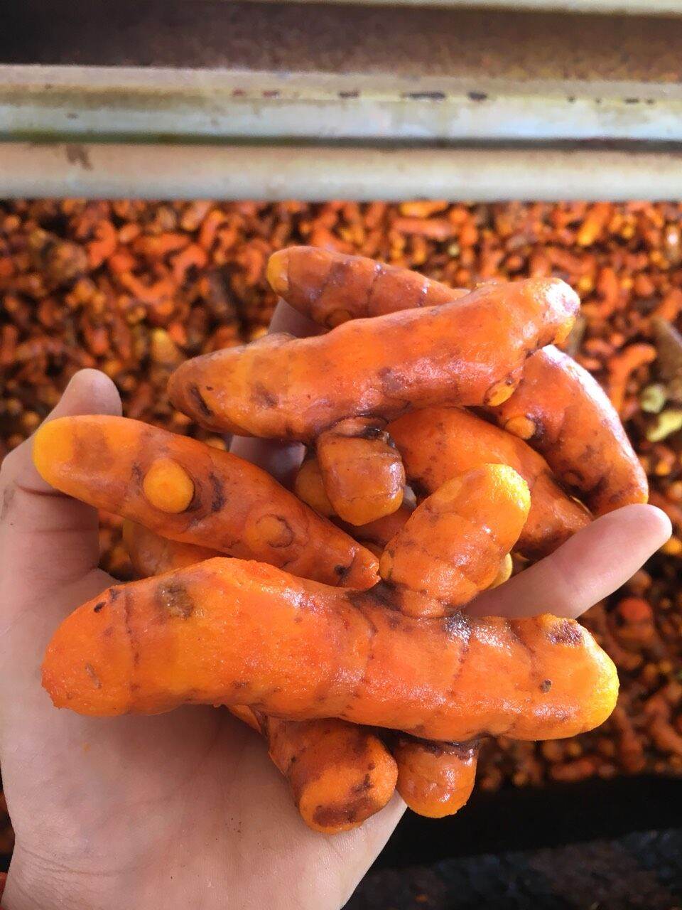 500g nghệ đỏ tươi loại 1