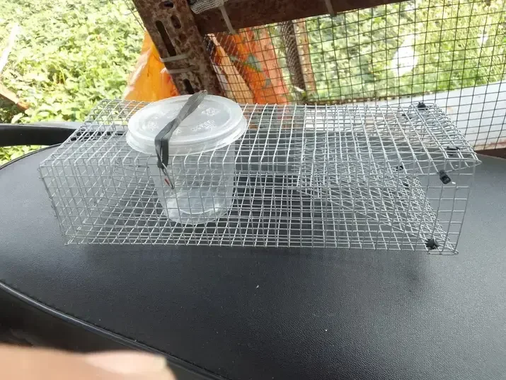 COMBO 5 bẫy rắn mối CẢI TIẾN chuyên bẫy rắn mối GIÁ SỐC