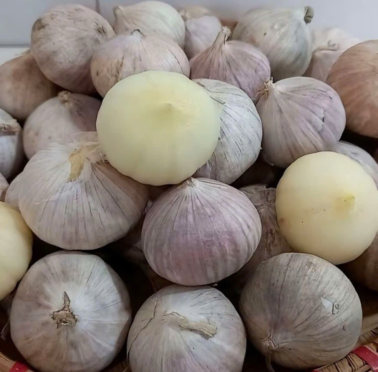 Tỏi cô đơn nguyên củ, vỏ ngoài màu tím nhạt, vị thơm đặc trưng, dùng trong nấu ăn, trưng bày trong giỏ tre.