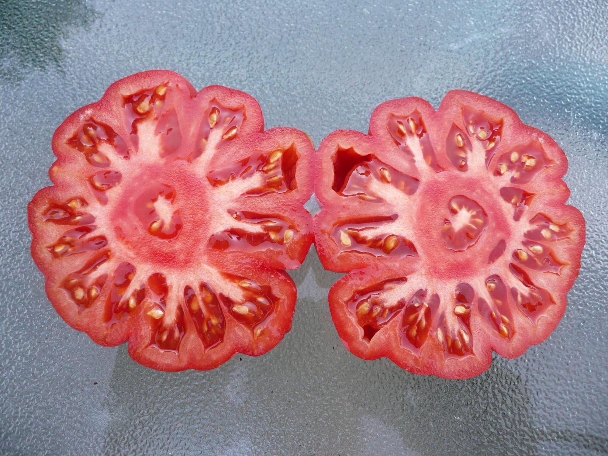 HẠT GIỐNG CÀ CHUA BÍ NGÔ