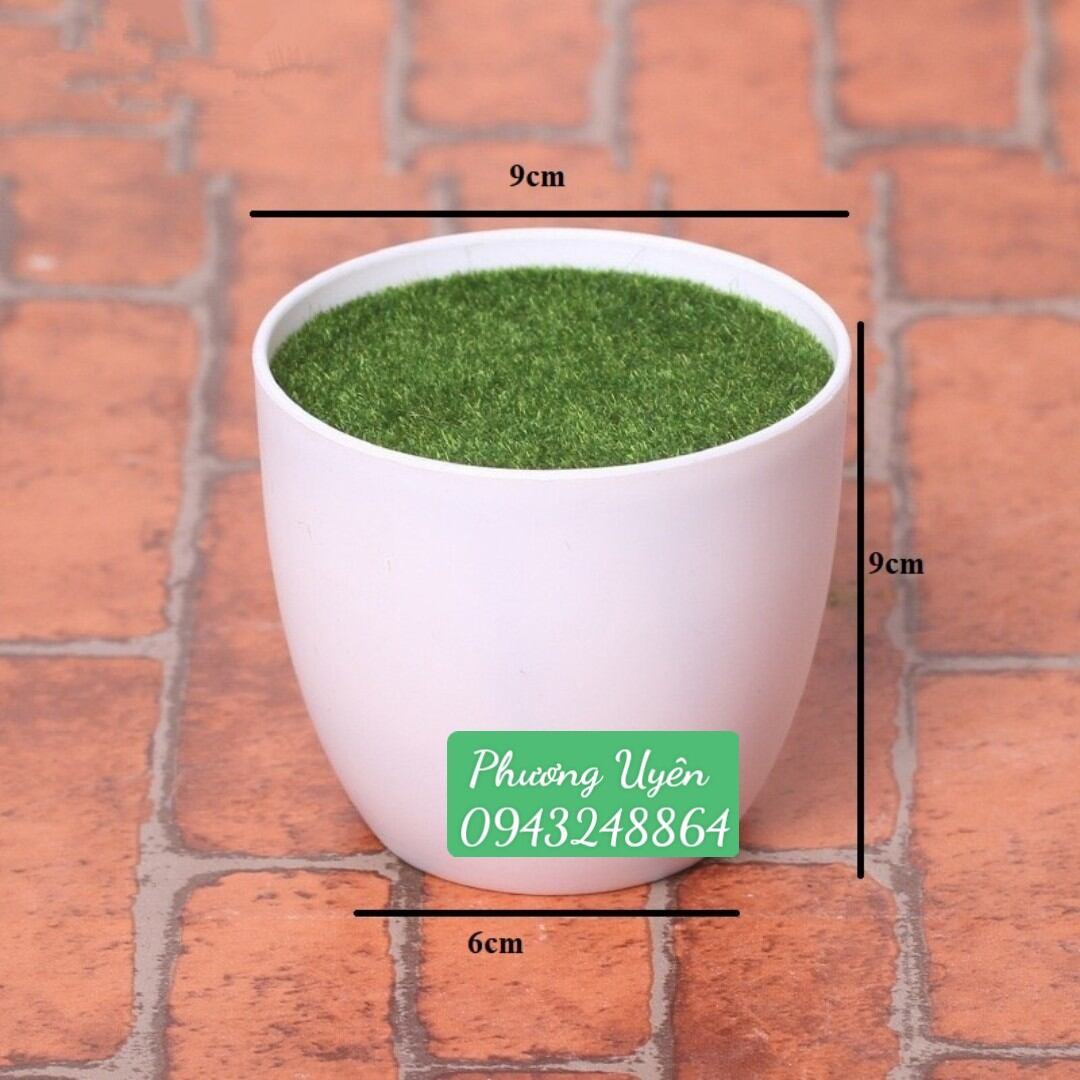 Chậu nhựa phủ rêu xanh