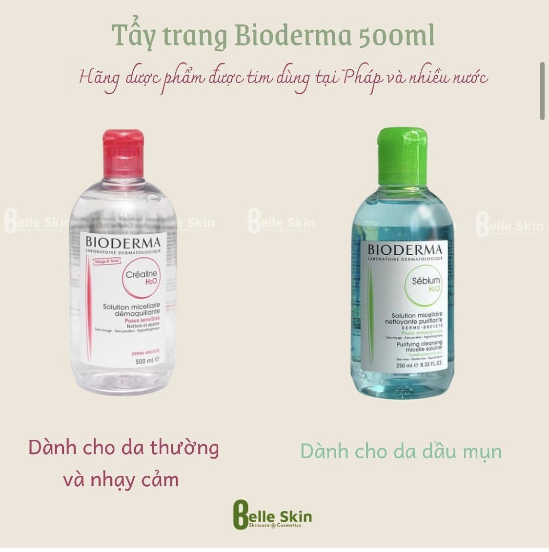 Nước Tẩy Trang Bioderma 500ml bản Pháp