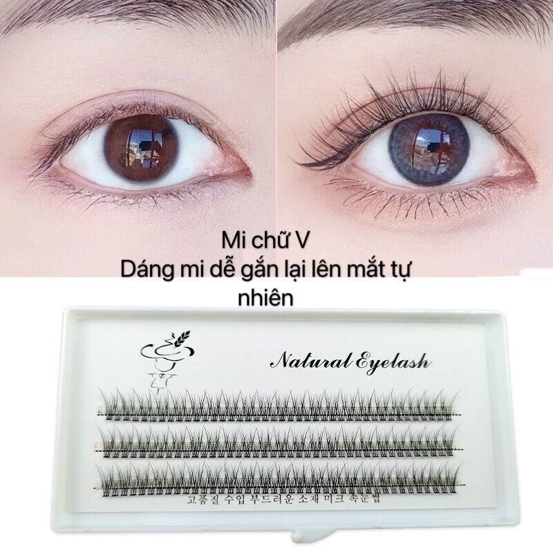 Mi dán theo khóm dáng chữ V tự nhiên ( tặng keo 25k )
