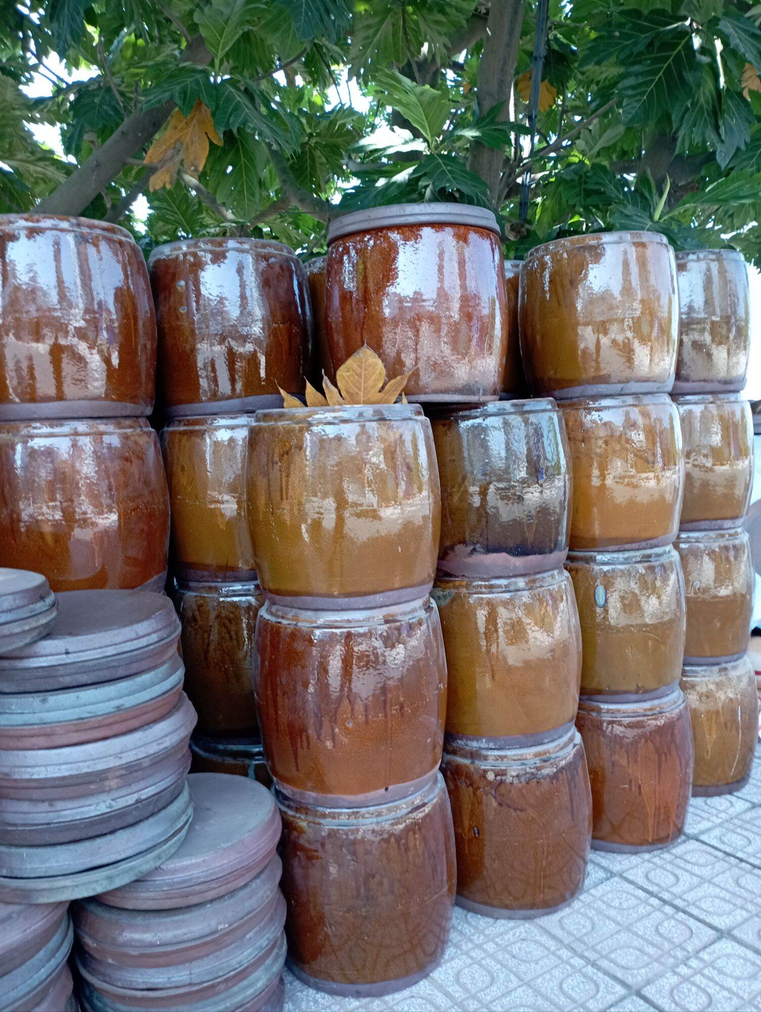 Chậu trồng cây, Lu chậu trồng sen nuôi cá