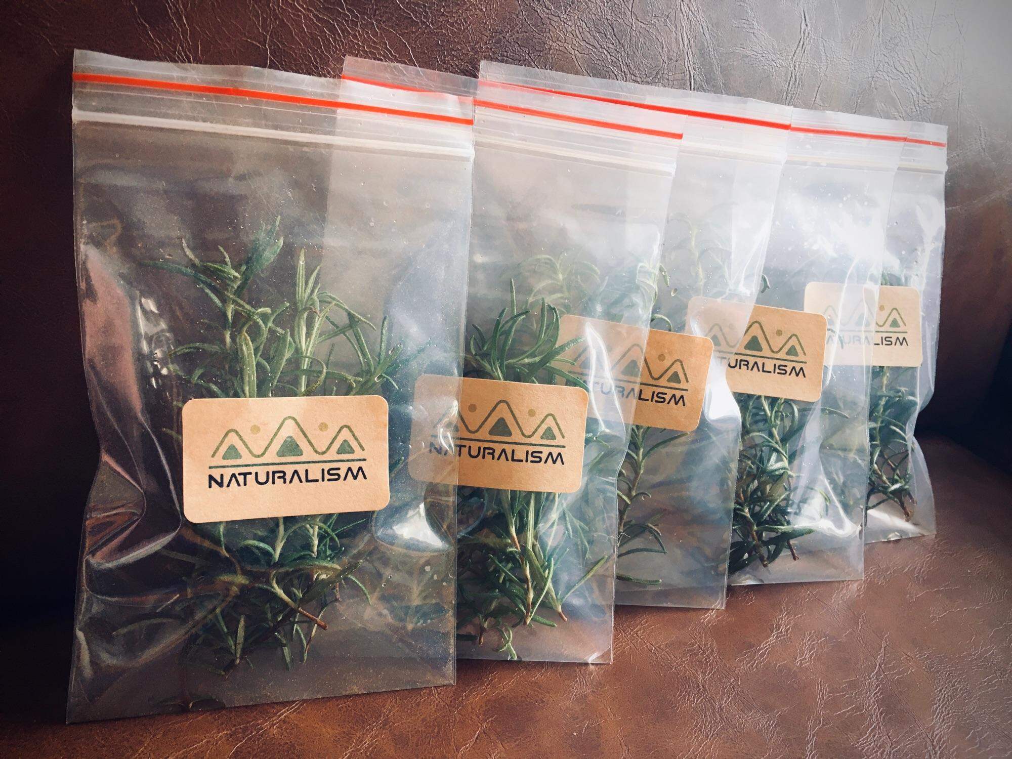 Cành Hương Thảo Rosemary tươi khô