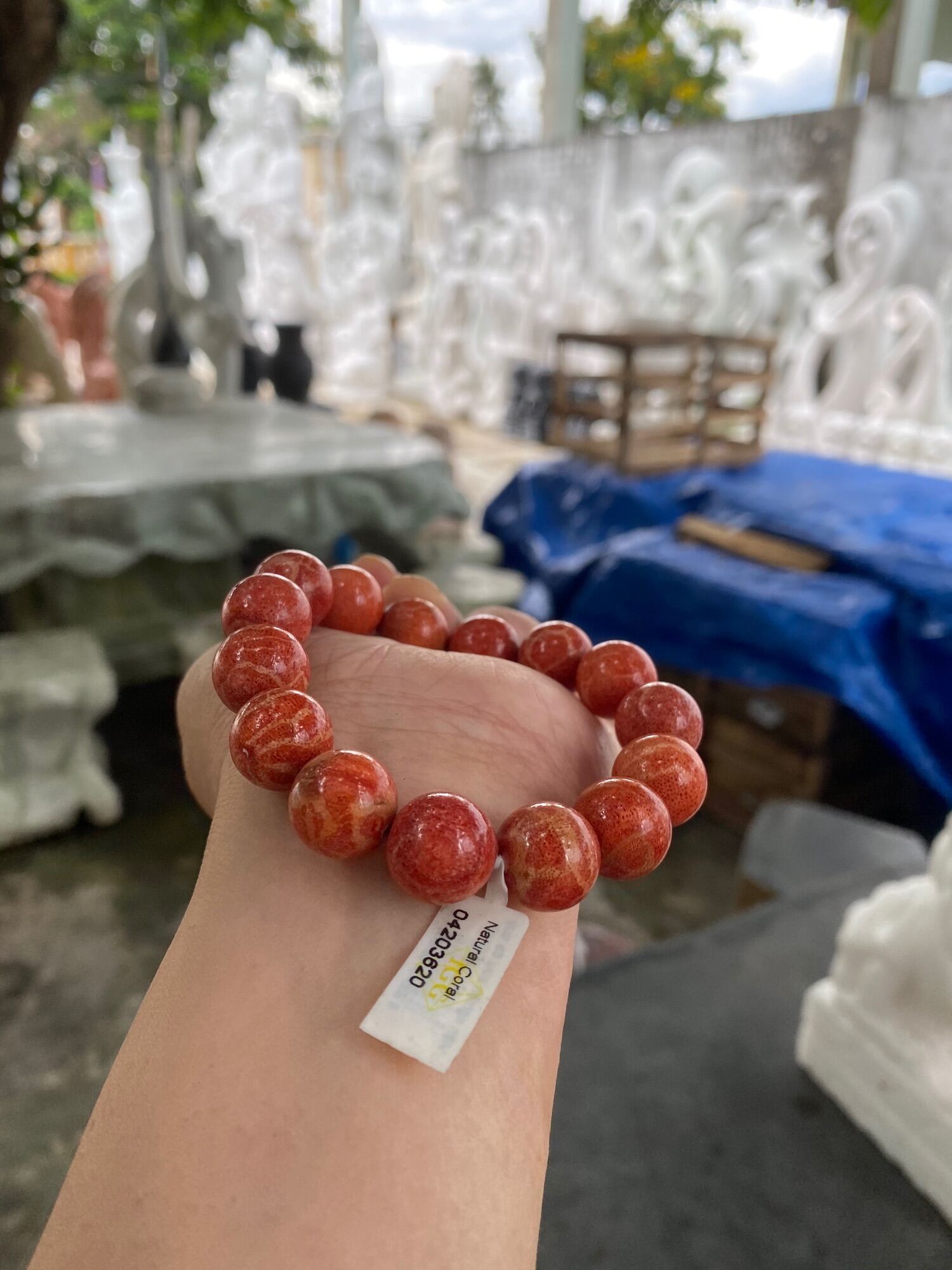 Lắc tay lu thống dạng trúc San hô đỏ tự nhiên