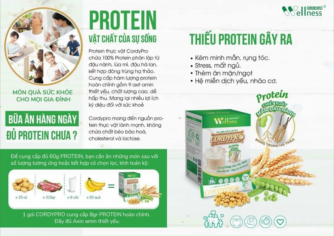 Thực phẩm bổ sung Protein thực vật CORDYPRO Tăng cường miễn dịch, tăng cường cơ bắp, giảm mệt mỏi ( gói lẻ )
