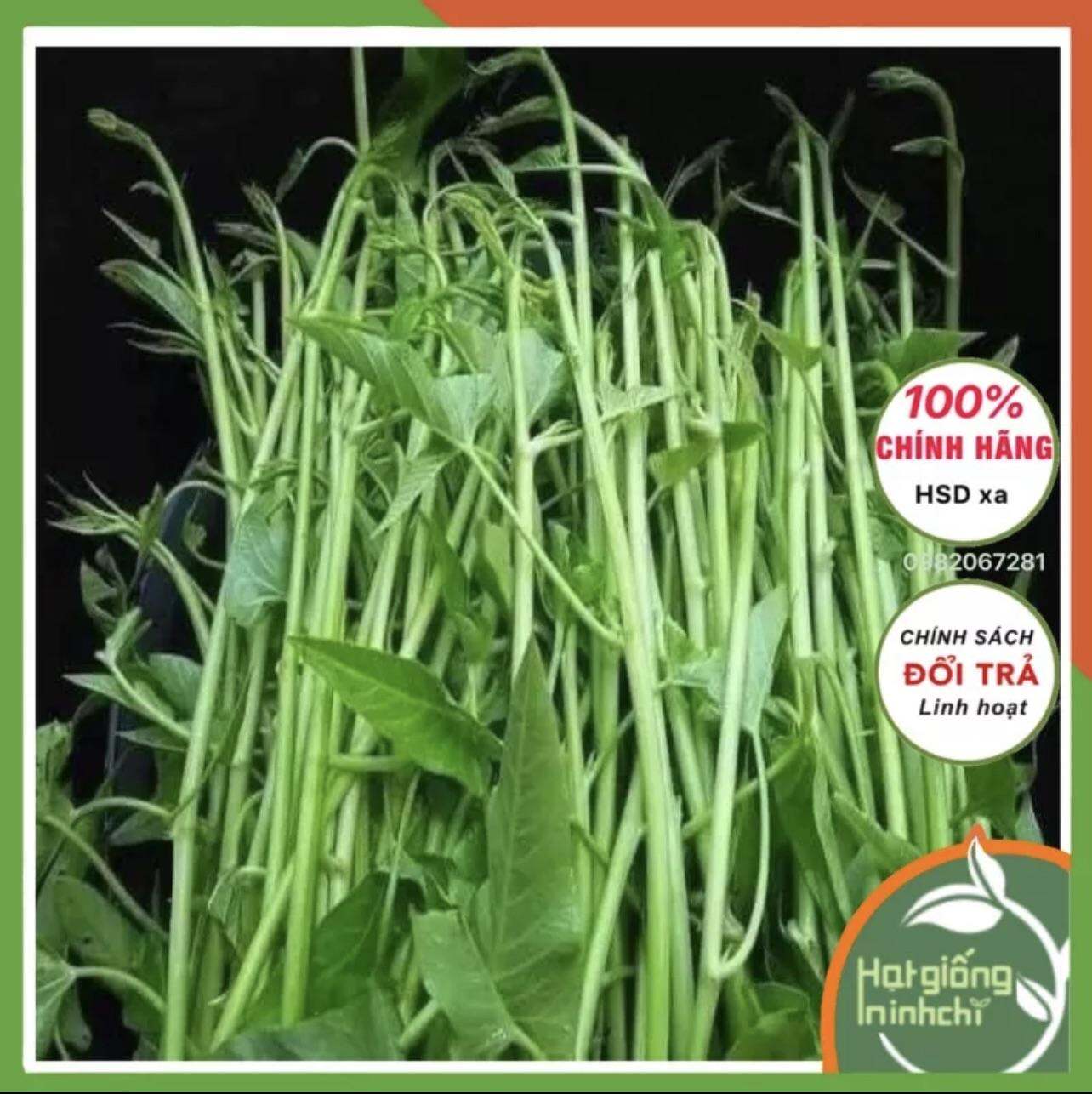 500gr Hạt giống rau muống siêu ngọn (siêu đọt) Thái Lan, thuộc loại Rau củ quả dễ trồng, kháng bệnh tốt