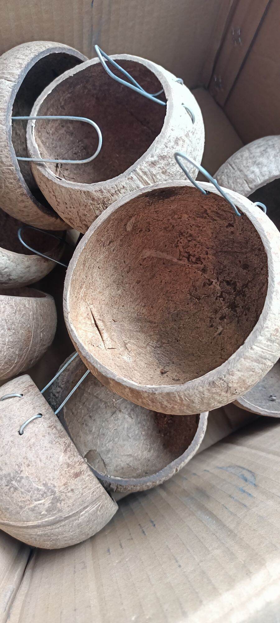 Combo of 10 Coconut Shells for Chickens and Ducks to Eat and Drink Water