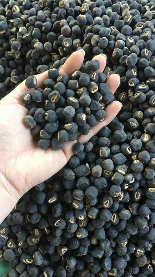 1kg hạt chuối cô đơn cao cấp