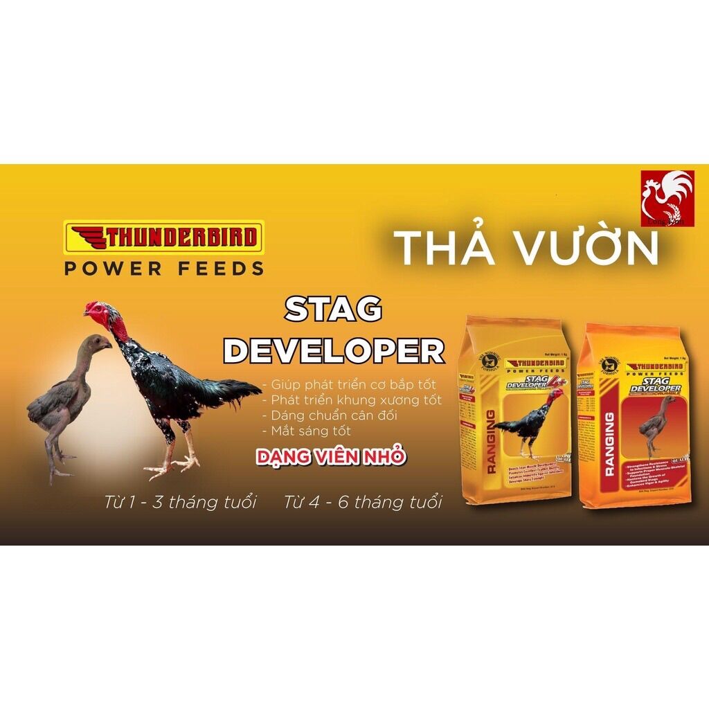 Stag Developer Thunderbird - Cám gà con từ 1 - 4 tháng