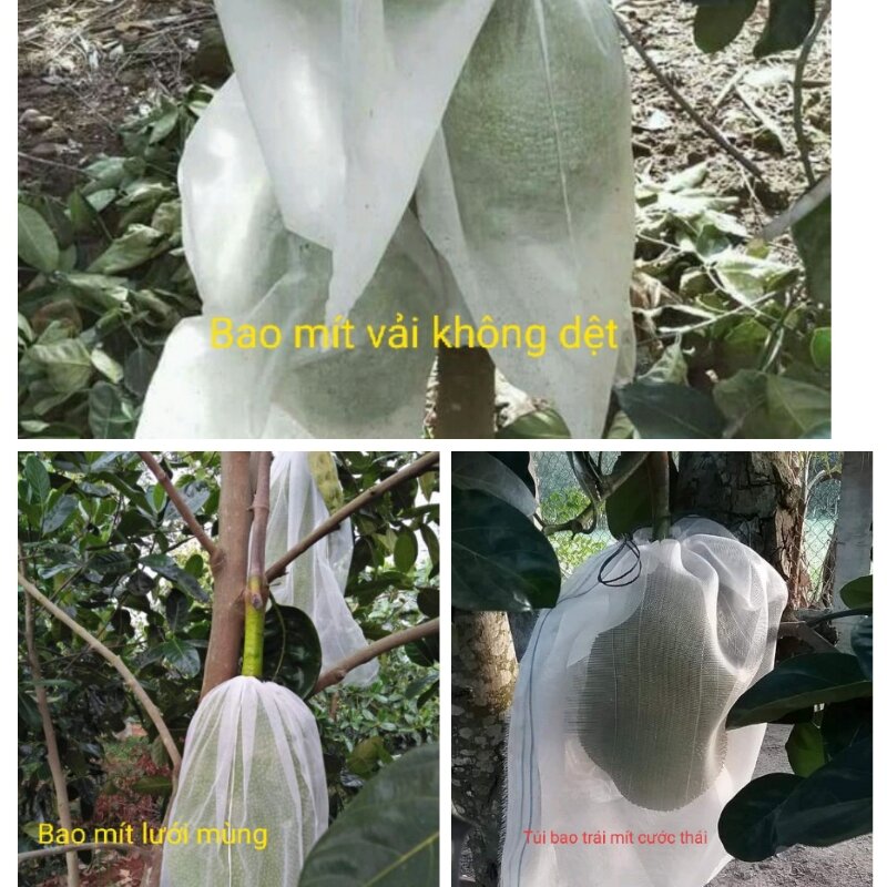 50 túi bọc mít (50x70) không thấm nước