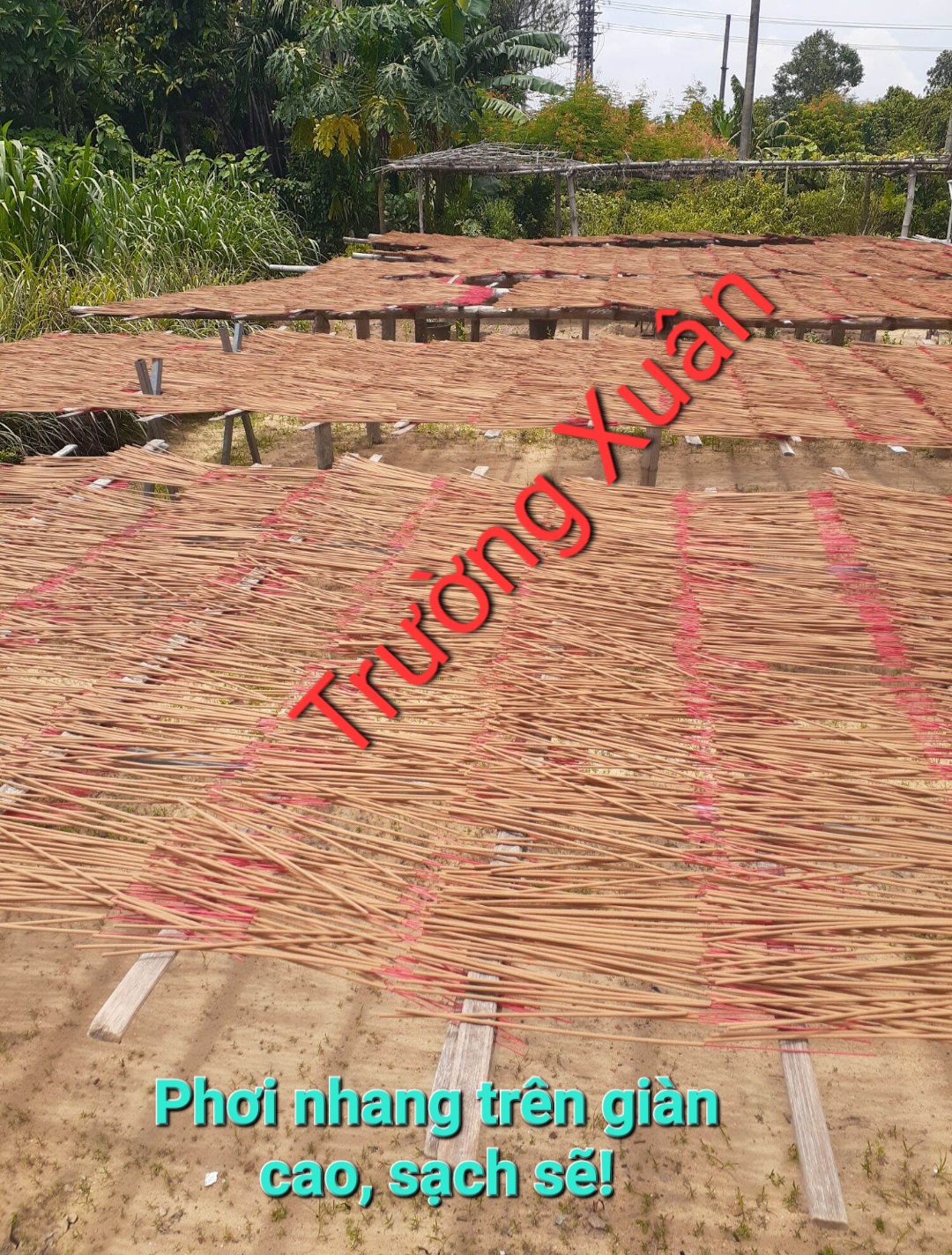 NHANG TRẦM DÓ BẦU_nhang trầm thơm sạch