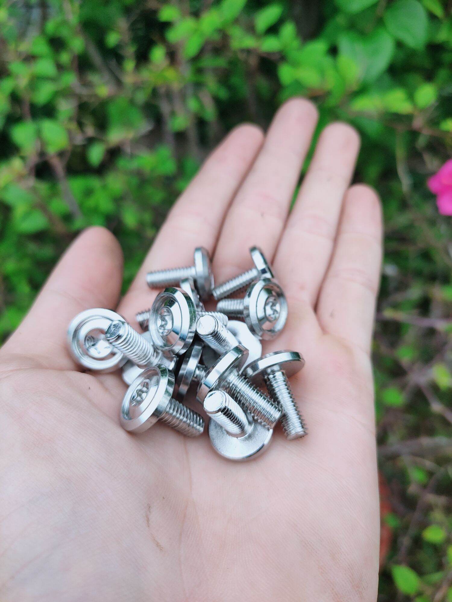 Ốc Salaya 6li10 - 20 mẫu Thái V3