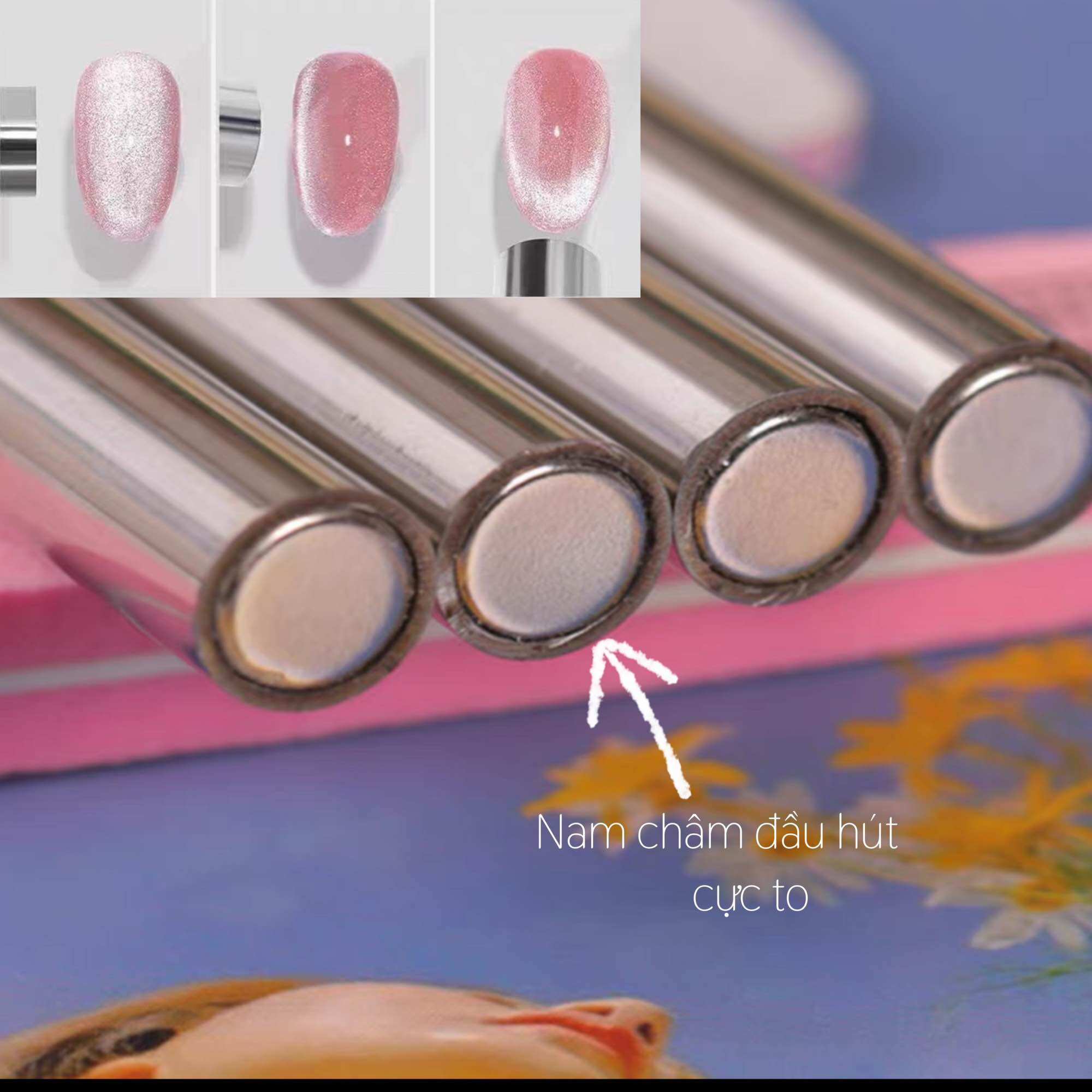 NAM CHÂM HÚT MẮT M ÈO SIÊU TO 2 ĐẦU