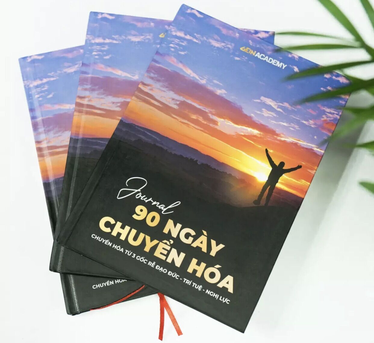 Sổ journal 90 ngày chuyển hoá